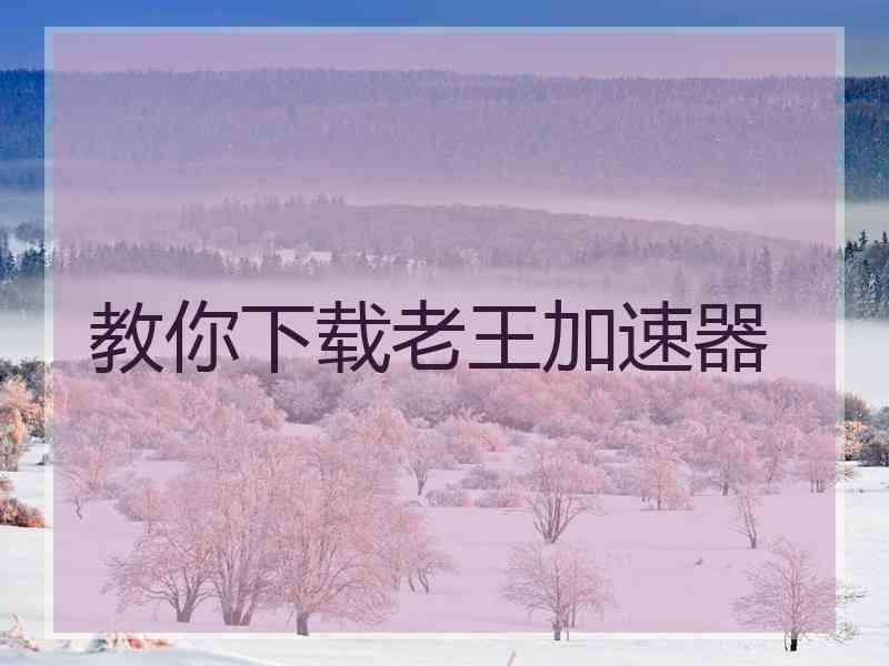教你下载老王加速器
