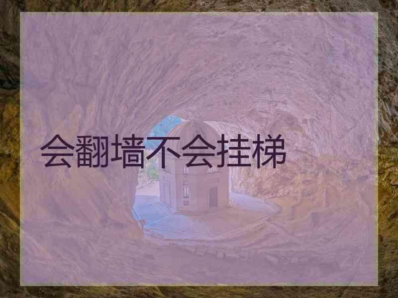 会翻墙不会挂梯