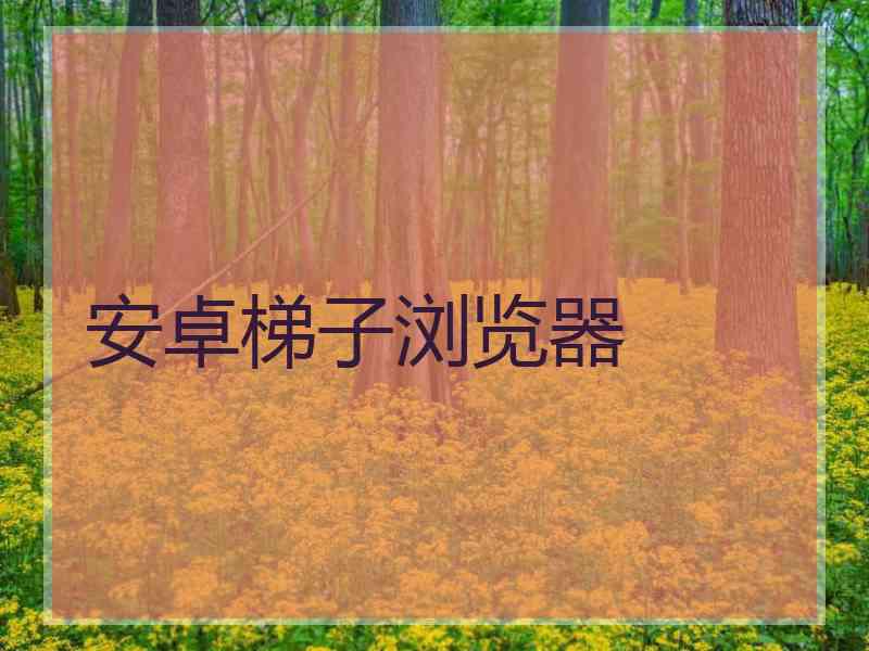 安卓梯子浏览器