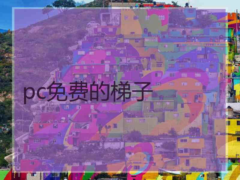 pc免费的梯子