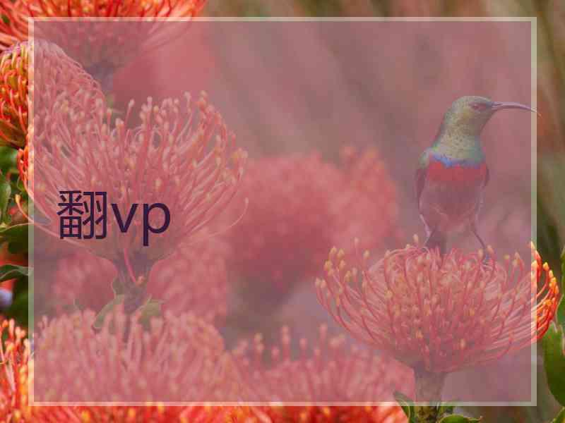 翻vp