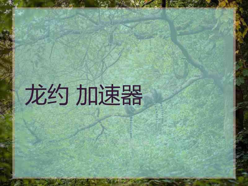 龙约 加速器