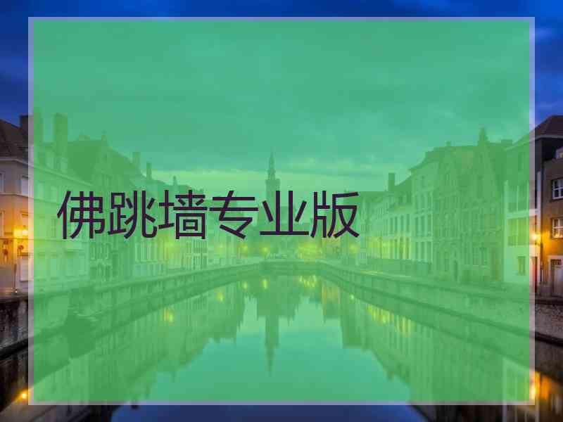 佛跳墙专业版