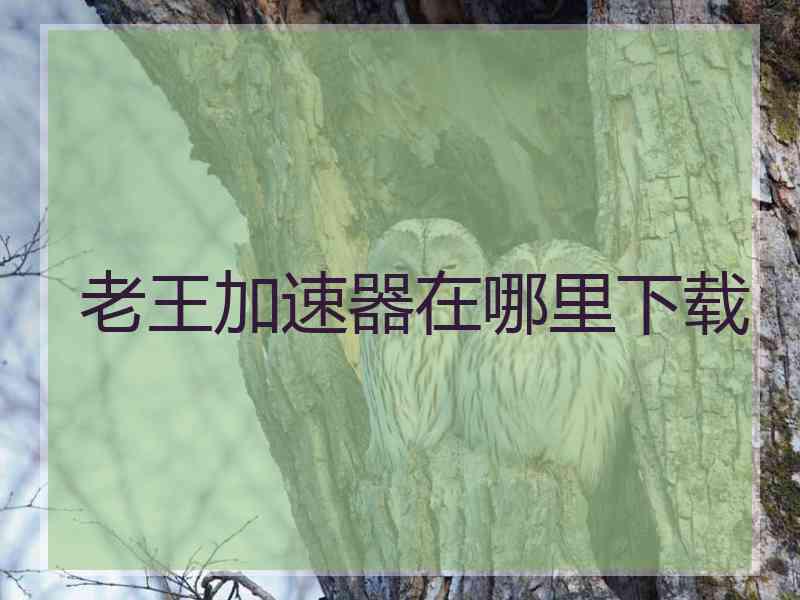 老王加速器在哪里下载