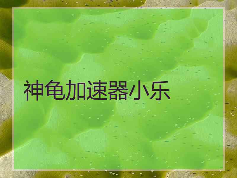 神龟加速器小乐