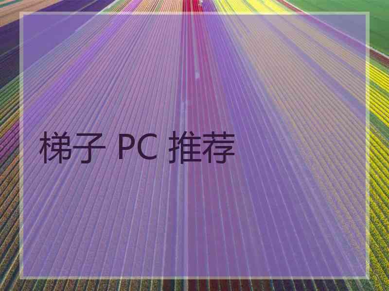 梯子 PC 推荐
