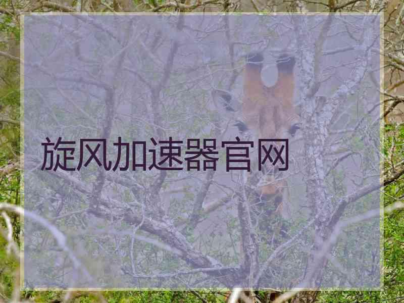 旋风加速器官网