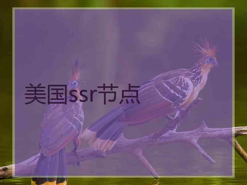 美国ssr节点