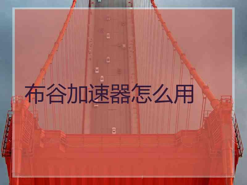 布谷加速器怎么用