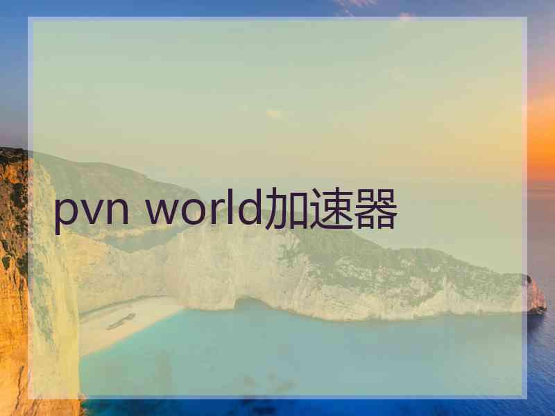 pvn world加速器