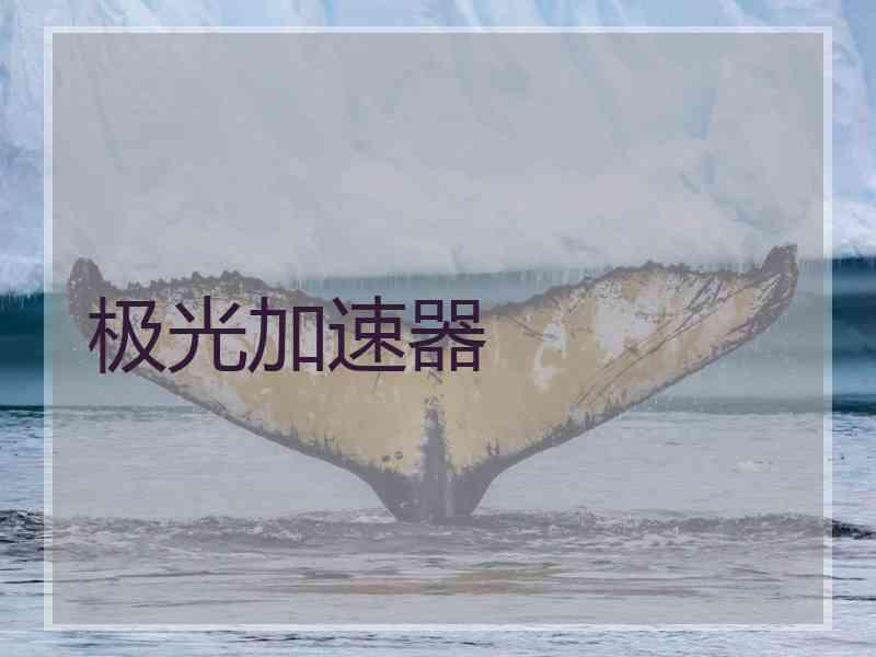 极光加速器