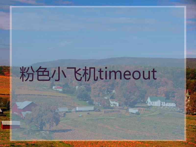 粉色小飞机timeout