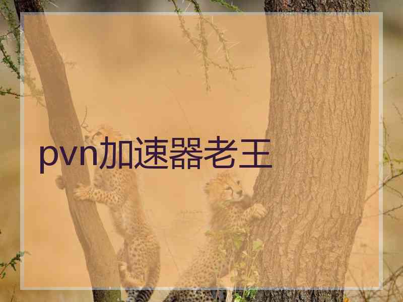 pvn加速器老王
