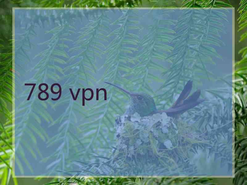 789 vpn