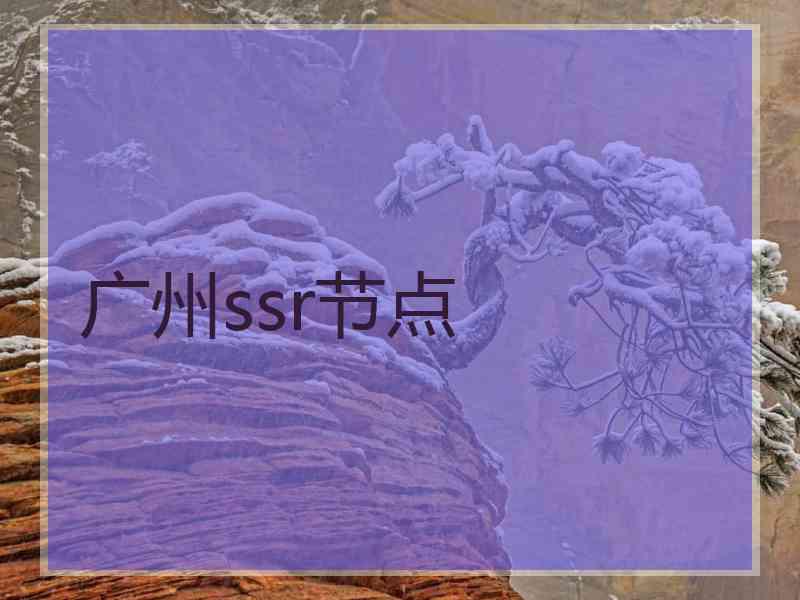 广州ssr节点
