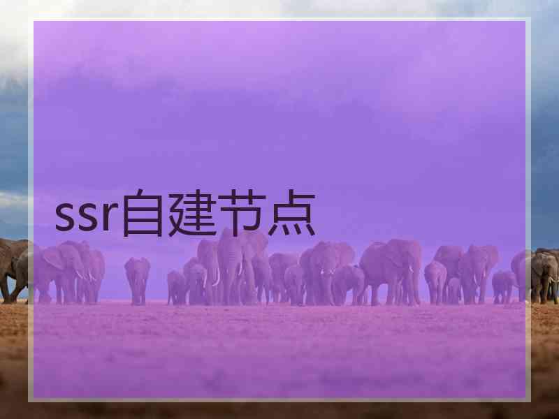 ssr自建节点