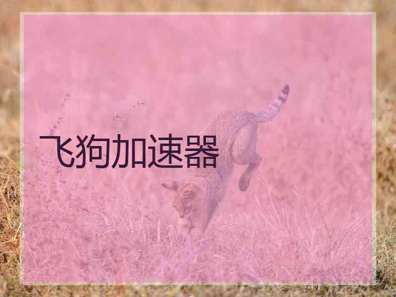 飞狗加速器