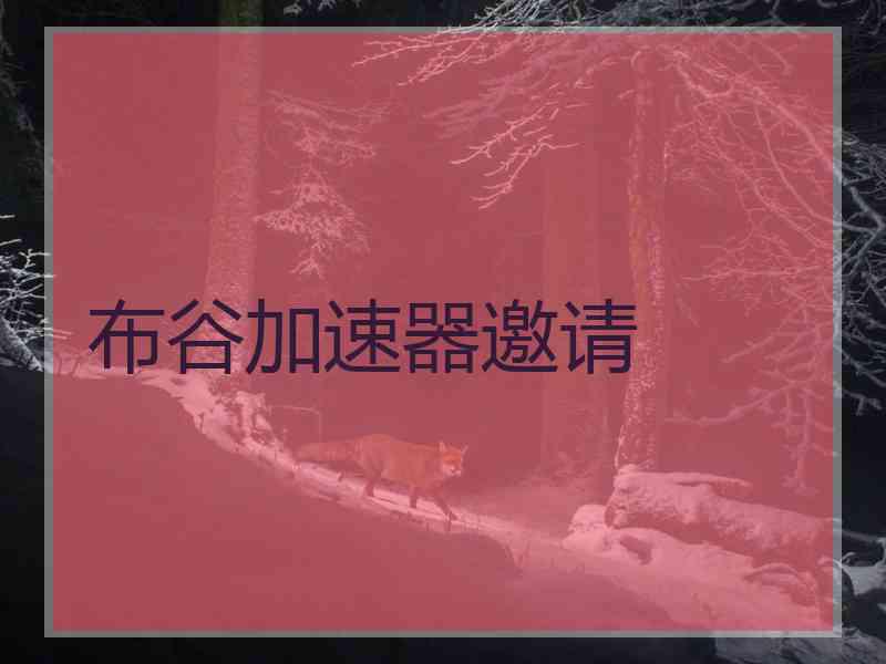 布谷加速器邀请
