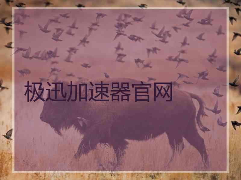 极迅加速器官网
