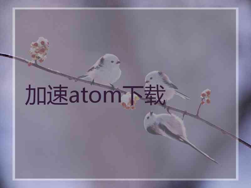 加速atom下载