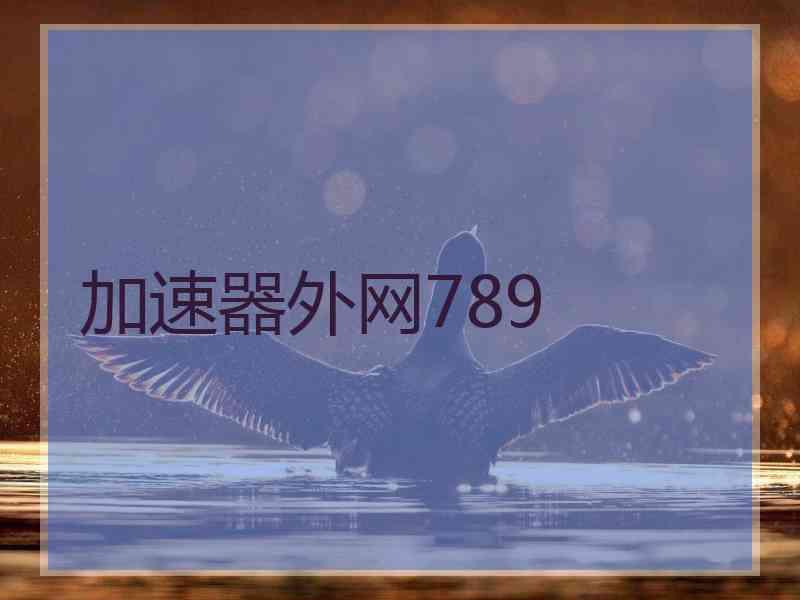 加速器外网789