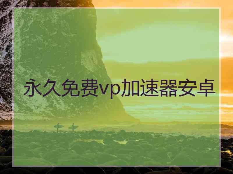 永久免费vp加速器安卓