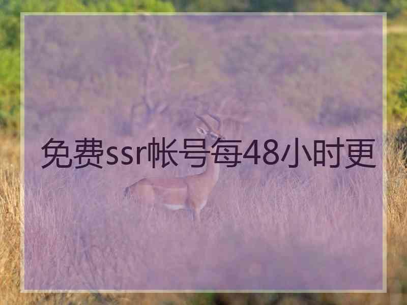 免费ssr帐号每48小时更