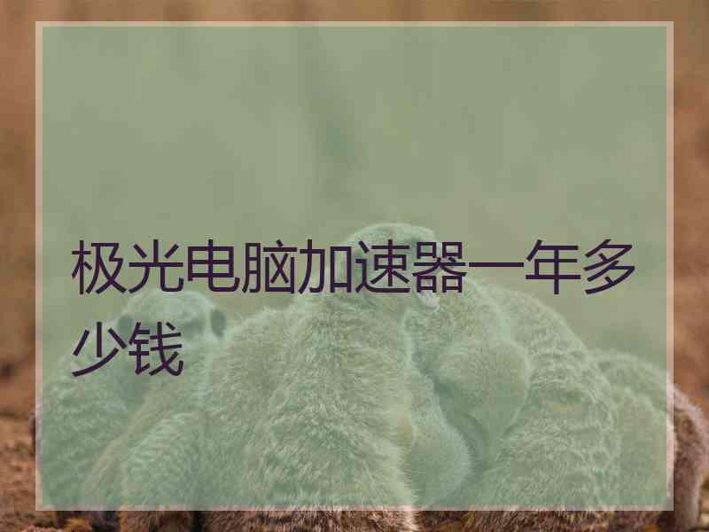 极光电脑加速器一年多少钱