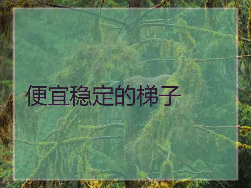 便宜稳定的梯子