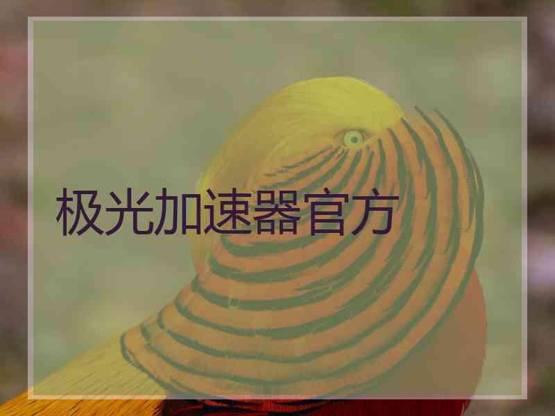 极光加速器官方