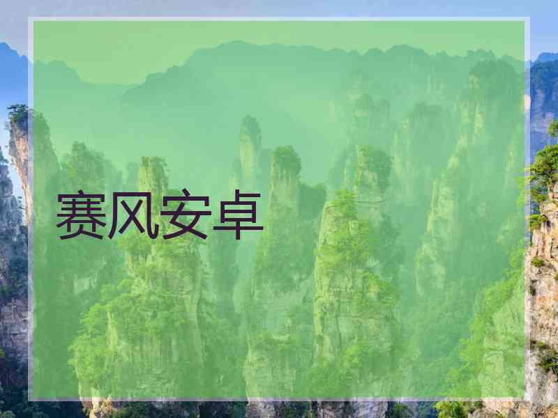赛风安卓