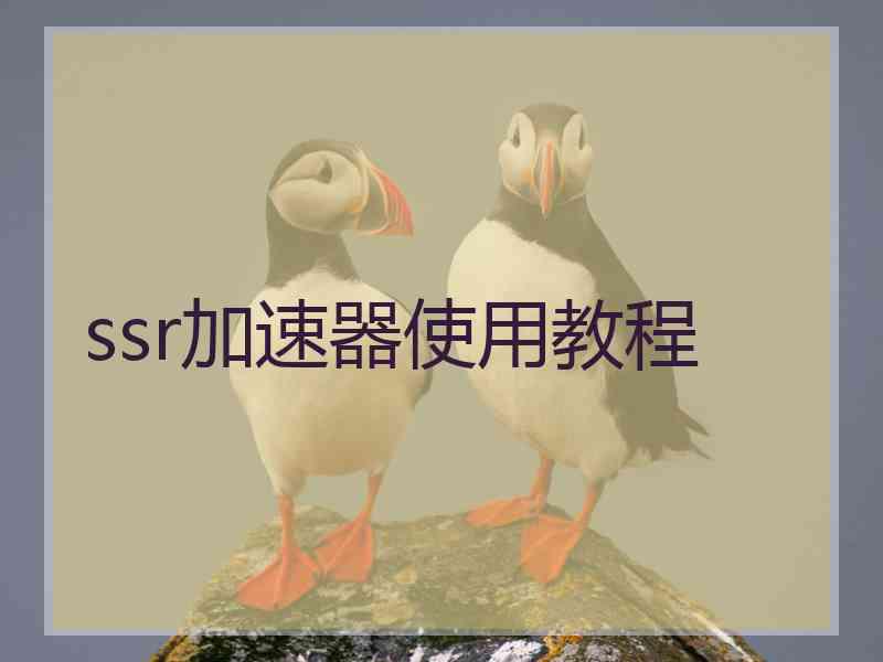 ssr加速器使用教程