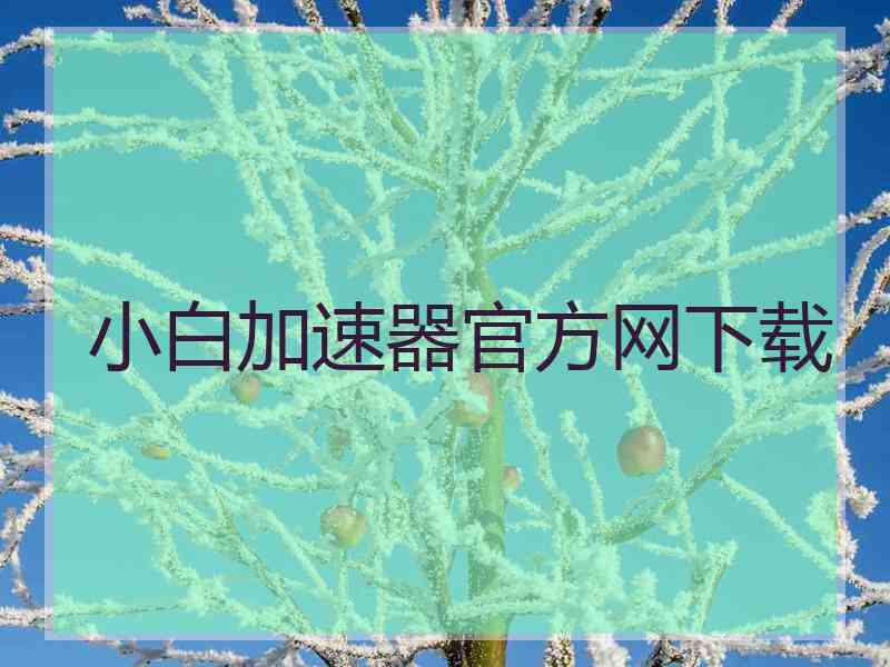 小白加速器官方网下载