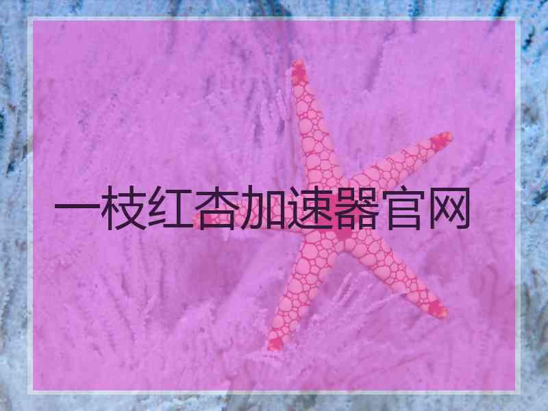 一枝红杏加速器官网
