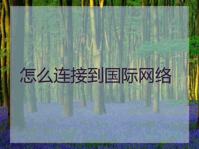 怎么连接到国际网络