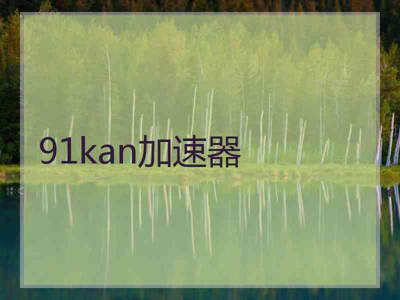 91kan加速器