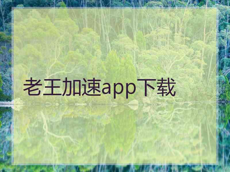 老王加速app下载