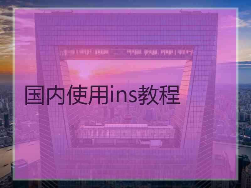 国内使用ins教程