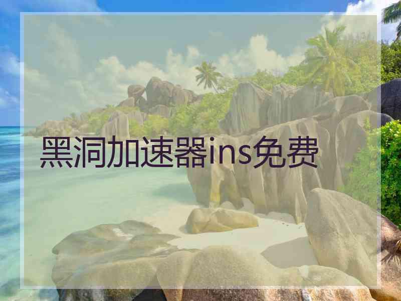 黑洞加速器ins免费