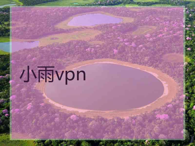 小雨vpn