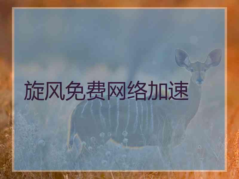 旋风免费网络加速