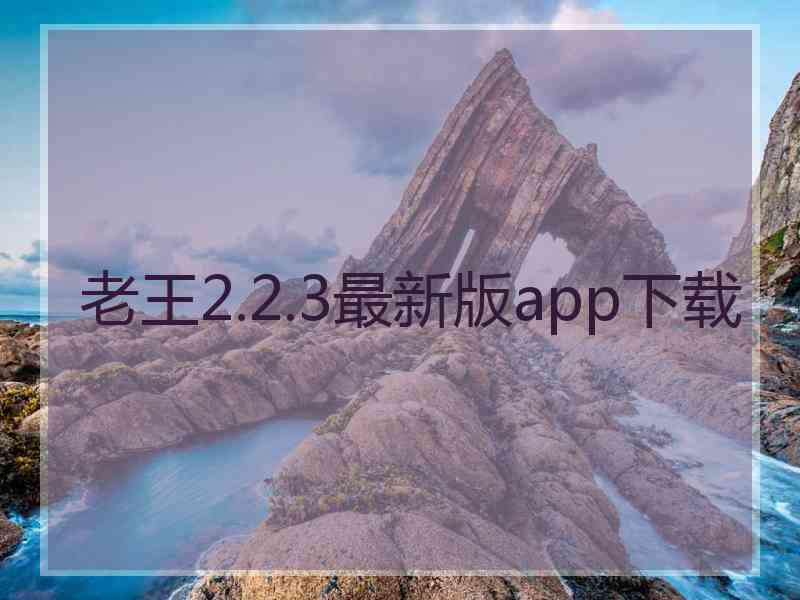 老王2.2.3最新版app下载