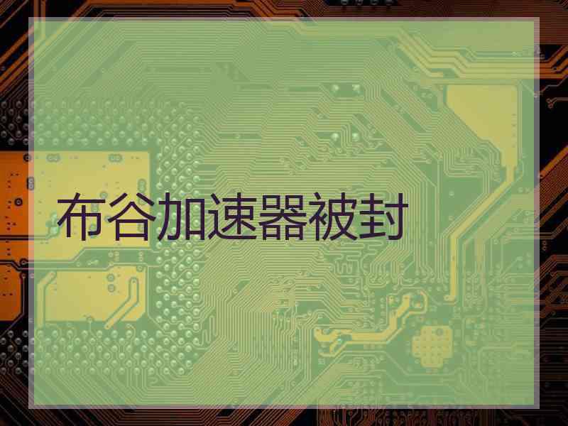 布谷加速器被封