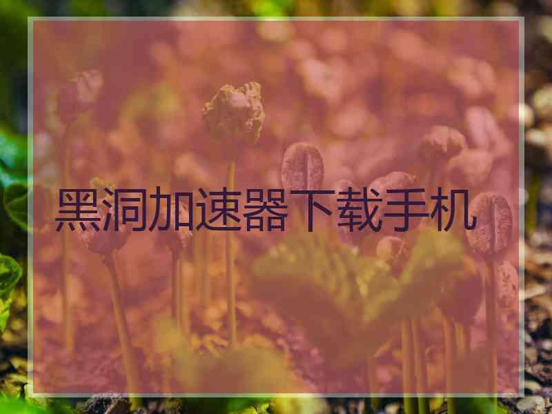 黑洞加速器下载手机