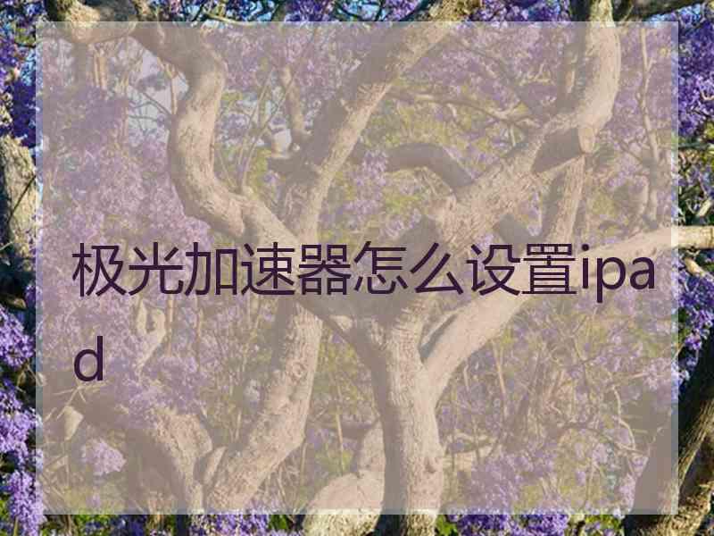极光加速器怎么设置ipad
