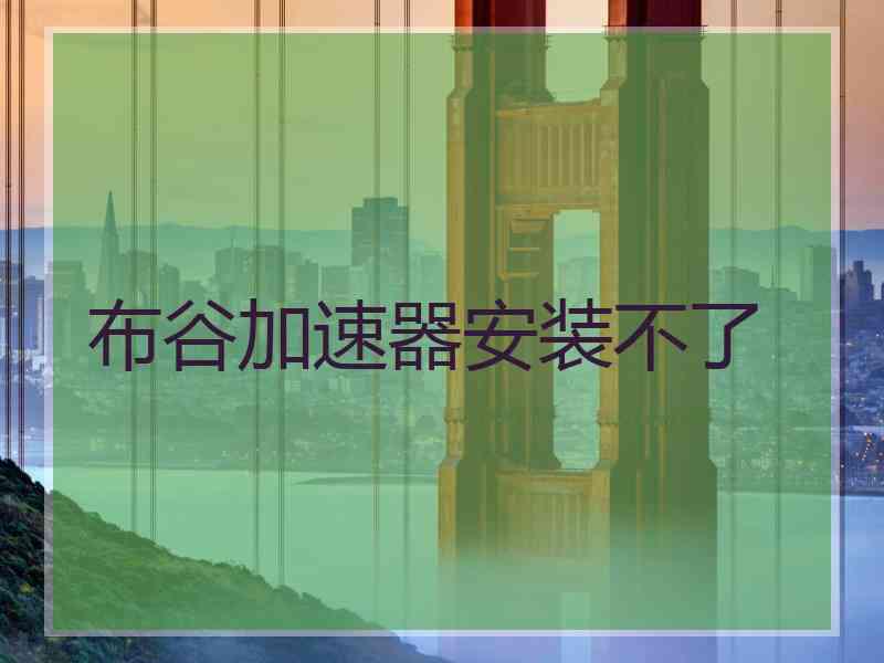 布谷加速器安装不了
