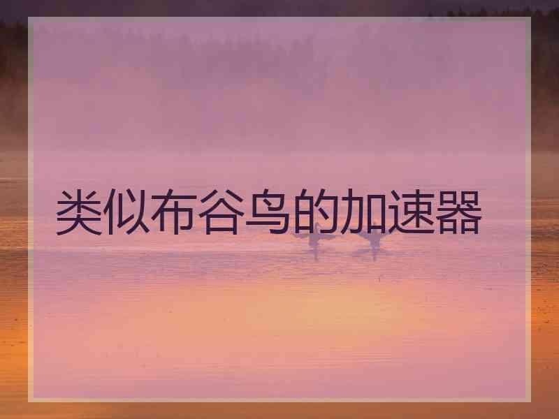 类似布谷鸟的加速器