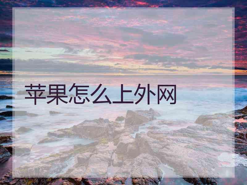苹果怎么上外网