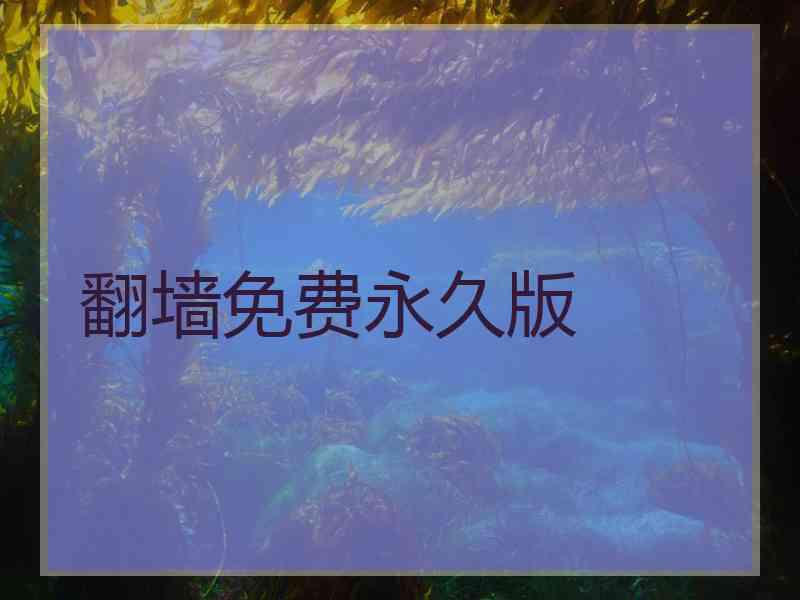 翻墙免费永久版