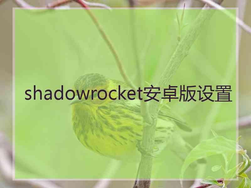shadowrocket安卓版设置
